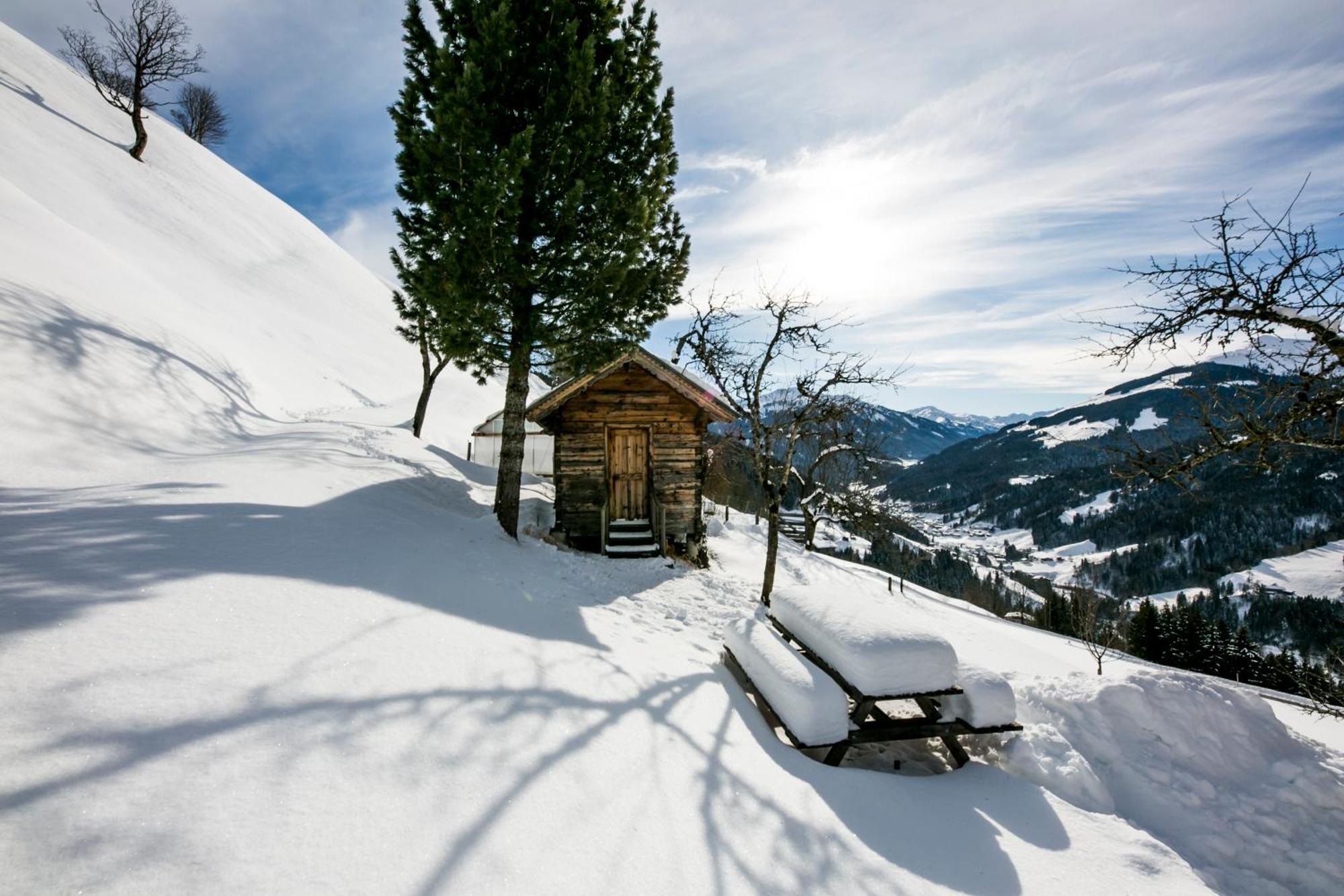 Siedlerhof Apartment ฮอพฟ์การ์เทน อิม บริกเซนทัล ภายนอก รูปภาพ