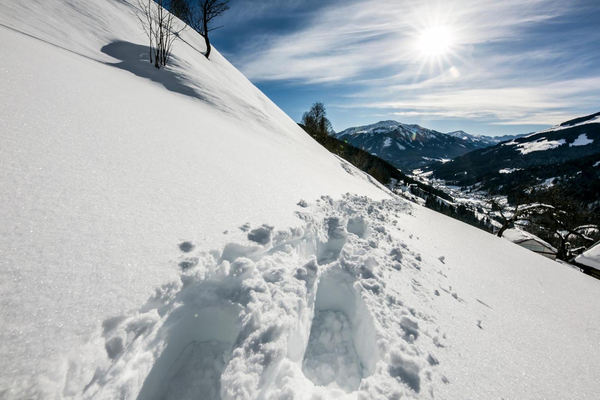 Siedlerhof Apartment ฮอพฟ์การ์เทน อิม บริกเซนทัล ภายนอก รูปภาพ