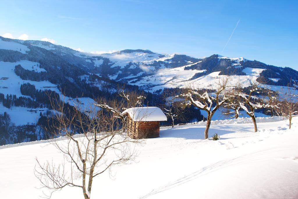 Siedlerhof Apartment ฮอพฟ์การ์เทน อิม บริกเซนทัล ภายนอก รูปภาพ