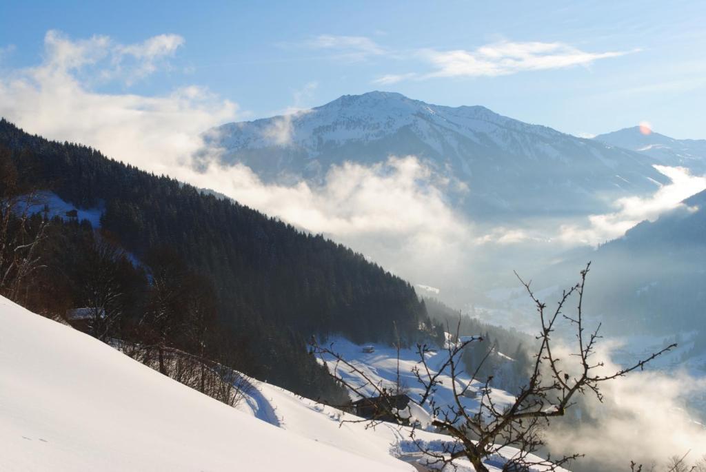 Siedlerhof Apartment ฮอพฟ์การ์เทน อิม บริกเซนทัล ภายนอก รูปภาพ
